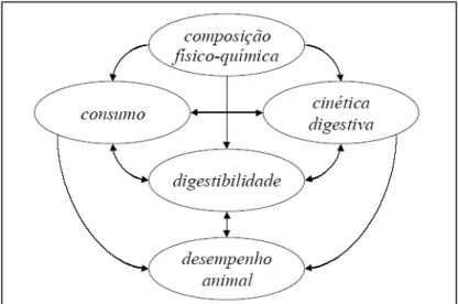Figura 5. Interdependência de fatores nutricionais Que interferem no desempenho animal