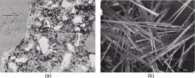 Figura 2.15 - Imagem de produtos de hidratação do cimento obtida por MEV: 