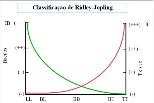 FIGURA 2: Classificação em espectro clínico segundo Ridley-Jopling. IC  –   Imunidade  Celular;  IB  –   índice  Baciloscópico;  TT  -  forma  polar  Tuberculóide  (estável);  LL  –   forma  polar  Virchowiana  ou  Lepromatosa  (estável); BT, BB e BL  –  G