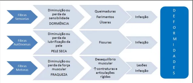 FIGURA 3: Consequências das Lesões dos nervos periféricos.  