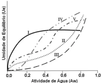 Gráfico 7. Os cinco tipos de isotermas de sorção segundo Brunauer, Emmett e Teller (1938)