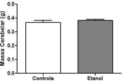 Figura 4  –  Efeito da intoxicação do etanol sobre a massa cerebelar em gramas. Os resultados estão  expressos como a média ± E.P.M de 5-6 animais por grupo