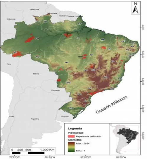 Figura 8: Distribuição geográfica da P. pellucida no Brasil em 2012.Fonte: Centro Nacional de  Conservação da Flora