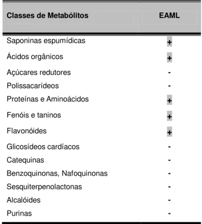 Tabela 1: Prospecção fitoquímica do EAML 