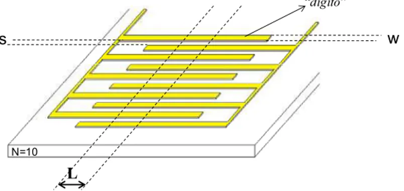 Figura 13 – Representação esquemática de um microeletrodo cortado por um microcanal de largura L