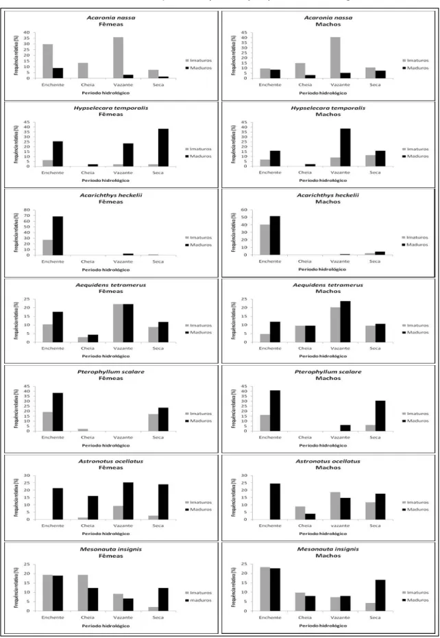 Figura  10:  Frequência  relativa  total  dos  estádios  de  maturação,  com  ênfase  nos  indivíduos reprodutivos maduros (fases de desenvolvimento gonadal em maturação,  maduro, esvaziado e desovado), barras pretas, por período hidrológico