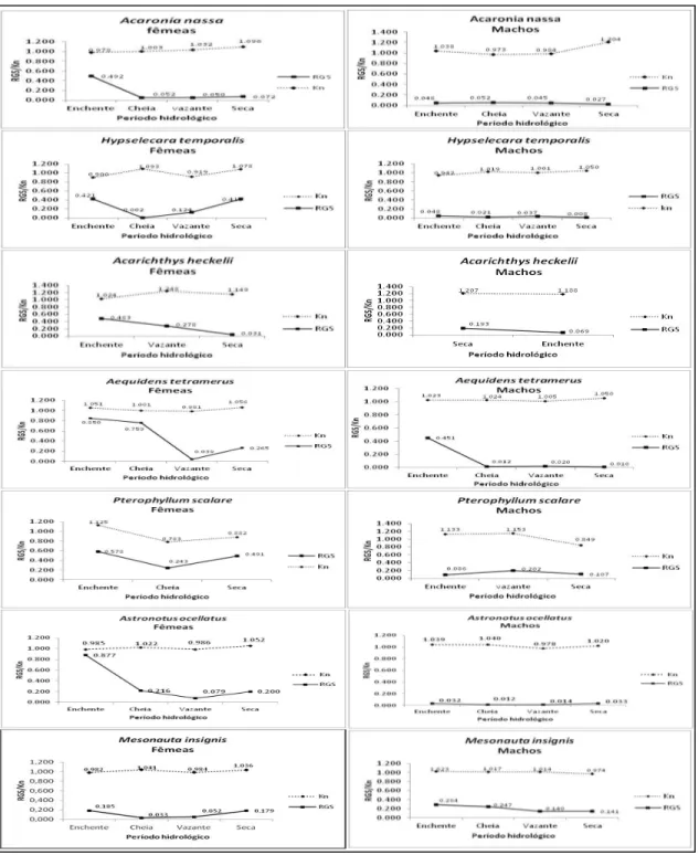 Figura  11:  Valores  médios  de  fator  de  condição  e  relação  gonadossomática,  relacionados com o período hidrológico da região da RDSM de exemplares fêmeas e  machos das espécies de ciclídeos da região do Médio Solimões