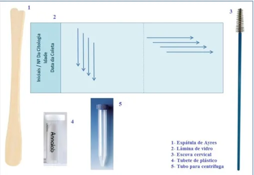 FIGURA 9 Kit utilizado para coleta de material cervical e endocervical. 