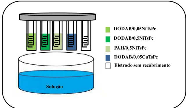 Figura 9: diagrama esquemático do modelo da língua eletrônica composta por 5 unidades  sensoriais, cujos filmes LbL com 5 bicamadas que recobrem os eletrodos de platina são  indicados na legenda
