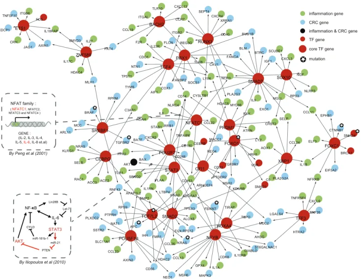 Figure 2 lists the network topological parameters of 21 IC- IC-specific networks, including network diameter, network density, mean node closeness, mean node shortest paths, betweenness, and degree