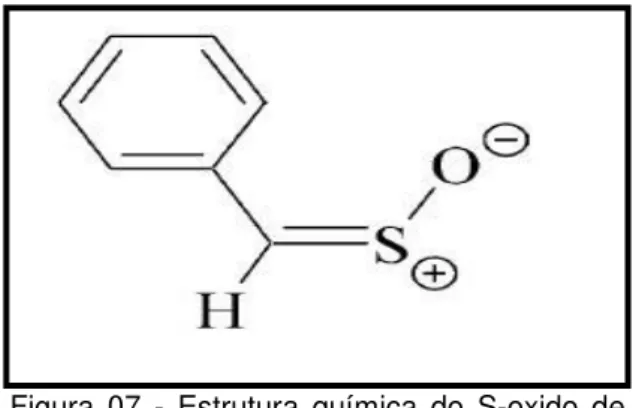 Figura  07  -  Estrutura  química  do  S-oxido  de  tiobenzaldeído. 