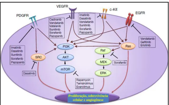 Figura 12: Alvo molecular na terapia de gliomas malignos. (Fonte: Agarwal et al., 2011)