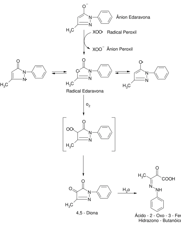 Figura 8: Mecanismo hipotético de reação da Edaravona. Adaptado (WATANABE et al., 2004)