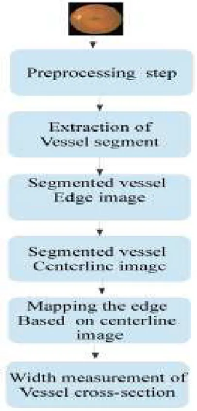Fig. 3. The overall system for proposed vessel width measurement method 
