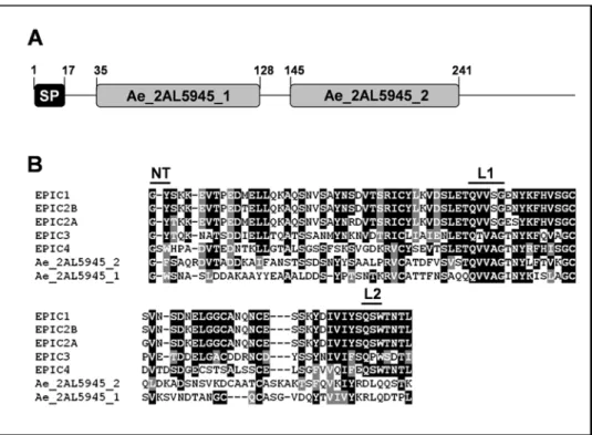 Figure 5. A cystatin-like protease inhibitor in A. euteiches. A, domain organisation of the deduced protein sequence of Ae_2AL5945