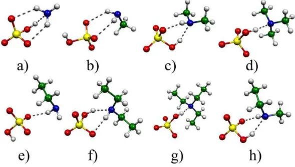 Fig. 2. The structures of ionic dimer clusters containing a hydrogensulfate ion and ammonia or various amines: