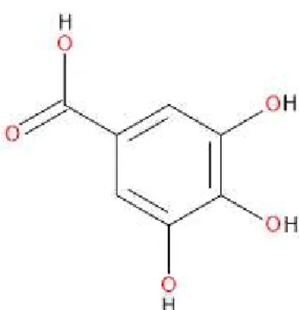 Figura 07 – Estrutura molecular do ácido gálico. Fonte: (JUNIOR, 2011). 
