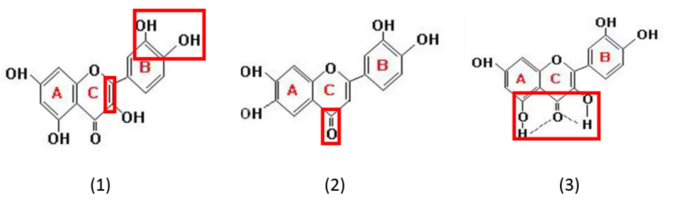 Figura 11 - Determinantes estruturais da propriedade antioxidante dos flavonóides Fonte:                               