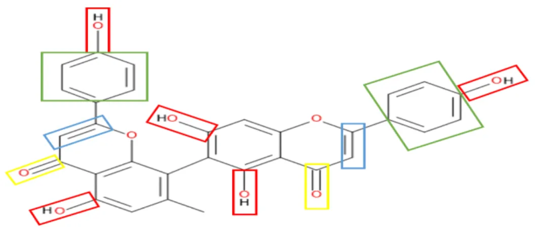 Figura 13  –  biflavonóide isolado Ouratea hexasperma, características antioxidantes. 