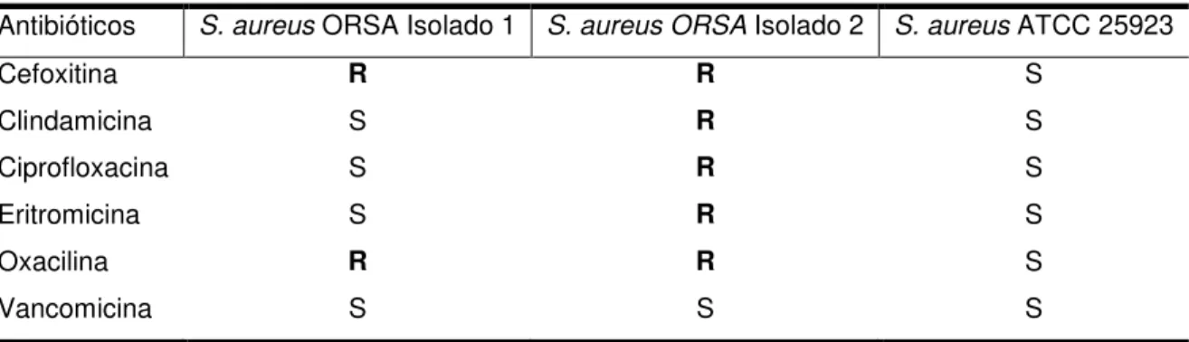 Tabela 1 - Perfil de suscetibilidade em disco difusão de isolados selvagens de  S. aureus ORSA e da  cepa ATCC 25923 de S