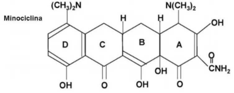 Figura 3. Estrutura molecular da minociclina. Modificado de KIM e SUH (2009). 