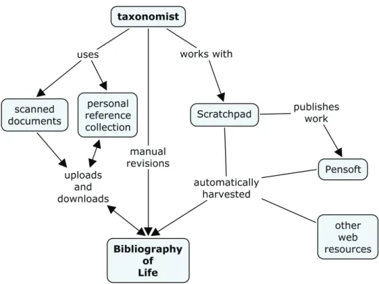 Figure 2. Interactions between a taxonomist and the Bibliography of Life
