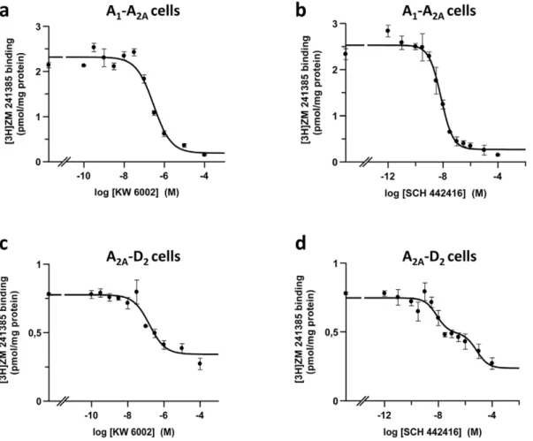 Figure 7. Binding of the A 2A R antagonists KW-6002 and SCH-442416 to A 1 R-A 2A R and A 2A R-D 2 R CHO cells