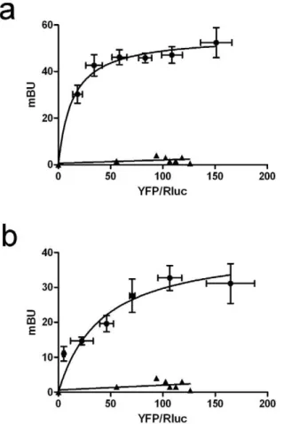 Figure 5. Allosteric interaction between A 2A R and D 2 R in A 2A R- R-D 2 R CHO cells