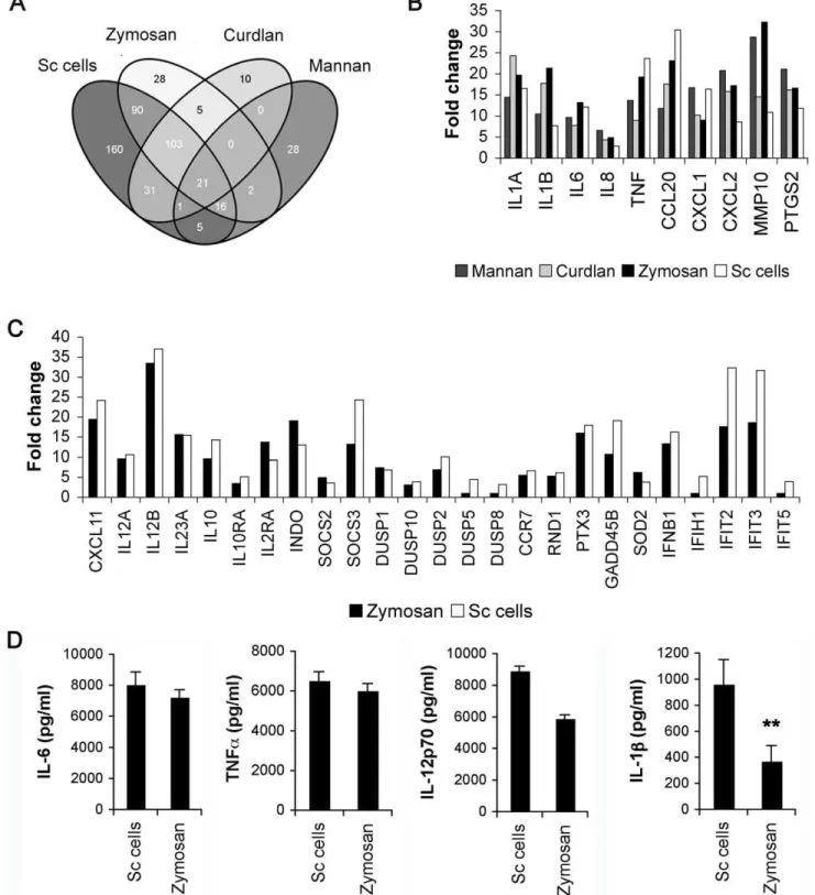 Figure 7. Immune response (IR) genes activated by different cell wall components and Saccharomyces cerevisiae in DCs
