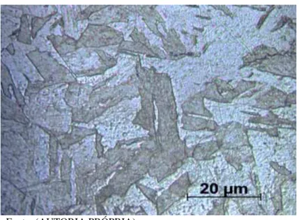 Figura 14: Microscopia óptica 15-5PH com 1hora de 3IP 