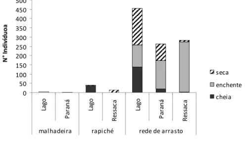 Figura 9   N° de indivíduos da família Cichlidae para cada ambiente da área focal da RDS  Mamirauá, coletados em março, julho e dezembro de 2003