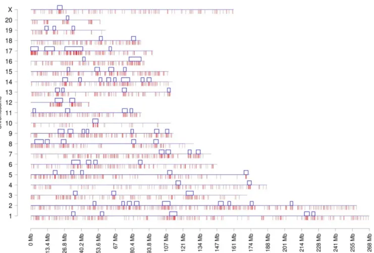 Fig 3. Chromosomal plot of germ cell dataset DHVPP shows the predicted 3+ sites and the clusters