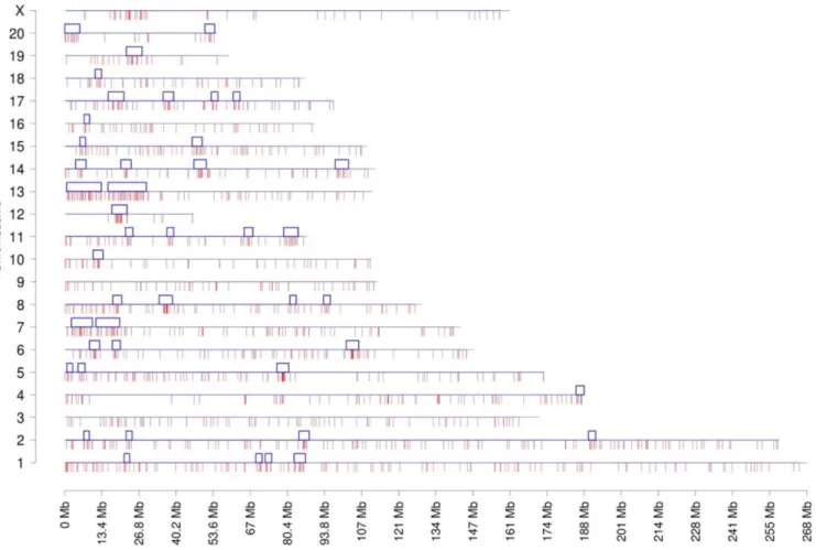 Fig 4. Chromosomal plot of somatic cell dataset SG shows the predicted 3+ sites and the clusters
