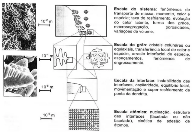 Figura 2.15 – Representação esquemática dos níveis dos diversos mecanismos que  podem ocorrer durante o processo de solidificação do tipo dendrítica (RIZZO, 2005)