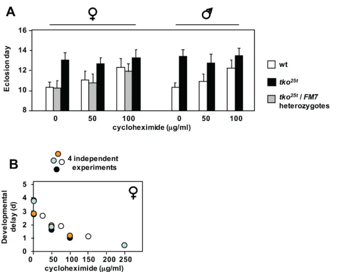 Fig 5. Effect of cycloheximide on development of tko 25t and wild-type flies. (A) Means ± SD of times to eclosion of flies of the sex and genotypes indicated, on high-sugar medium, with or without cycloheximide at the indicated concentrations