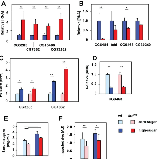 Fig 2. tko 25t flies manifest an ‘anti-sugar’ response. (A-D) Expression levels of various genes, based on QRTPCR, in L3 larvae of the indicated genotypes and growth conditions