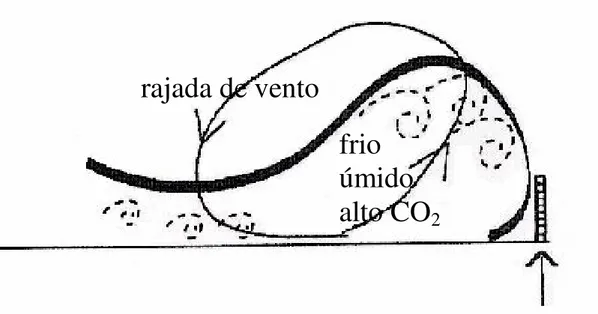 Figura  4  –  Diagrama  esquemático  da  atuação  da  corrente  de  densidade,  provocando  um  aumento  da  velocidade do vento e mistura turbulenta intermitente