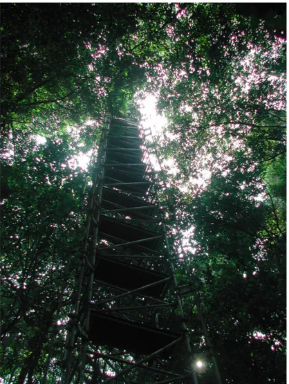 Figura 13 – Torre meteorológica de 56 m, instalada no interior da floresta de Caxiuanã