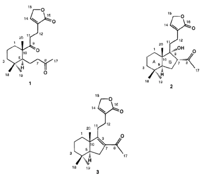Figura 2: Estruturas químicas das chapecoderinas 1, 2 e 3. 