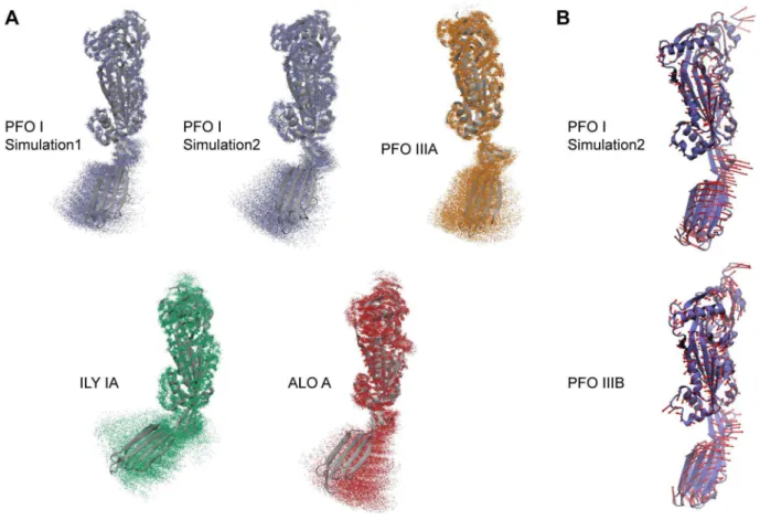 Figure 6. Flexibility of Domain 4 with respect to Domains 1–3 in MD simulations. A. Each panel corresponds to an MD simulation