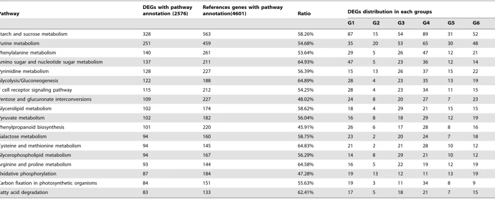 Table 3. KEGG analysis of DEGs in CSIL-35431 and CSIL-31010.