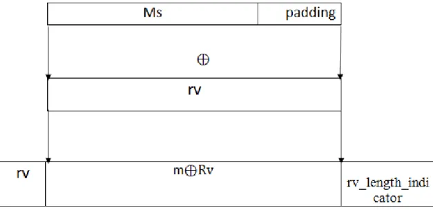 Fig 1: Process of randomizing a message 