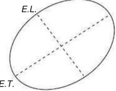 Figura 6. Diagrama esquemático dos eixos longitudinal e transversal. 