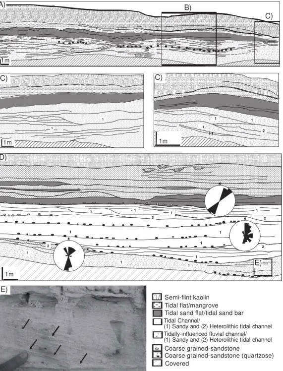 Figure 2.3: A-D) Representative geologic sections, illustrating the sedimentologic characteristics  and spatial distributions of facies and facies associations of the soft kaolin unit of the Ipixuna  Formation in the RCC quarry