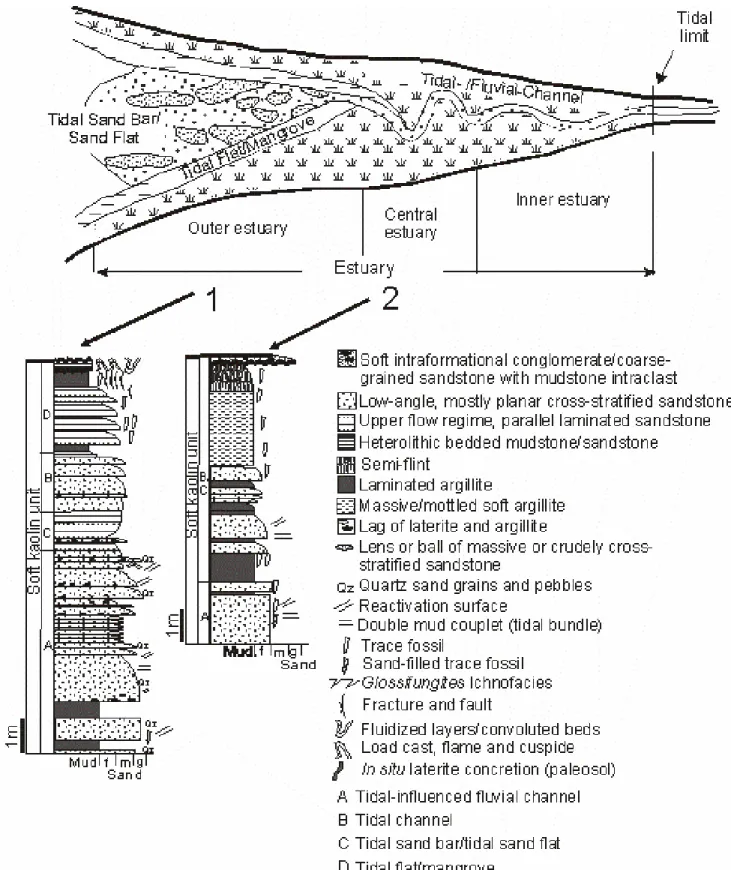 Figure 2.7: Schematic block diagram depicting the tidal dominated estuarine depositional model  (after Dalrymple et al., 1992) proposed for the soft kaolin in the Rio Capim area