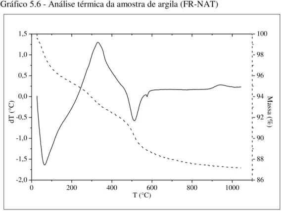 Gráfico 5.6 - Análise térmica da amostra de argila (FR-NAT) 