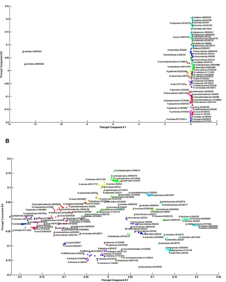 Figure 3. Principal component analysis (PCA) clustering using the Linear Mapping algorithm over the Euclidian distance of the PCA 1 (x-axis) and PCA 2 (y-axis) scores