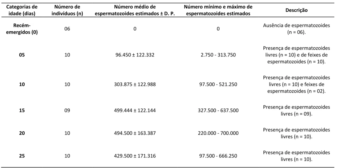 Tabela  2  –   Número  estimado  de  espermatozoides  de  55  machos  de  Melipona  flavolineata  pertencentes  a  diferentes  categorias  de  idade,  acondicionados em minicolônias confinadas
