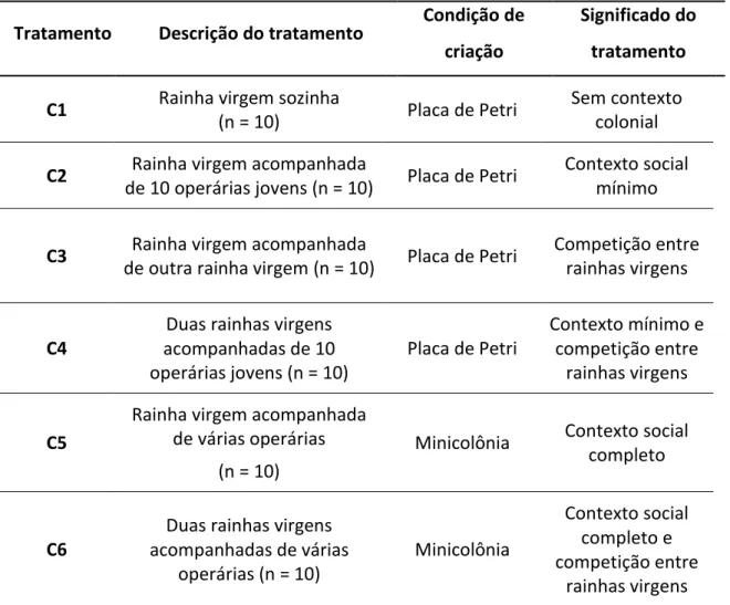 Tabela  1  –   Descrição  dos  tratamentos  correspondentes  aos  diferentes  níveis  de  contexto  social,  em  que  foram  mantidas  as  rainhas  virgens  de  Melipona  flavolineata  durante seis dias após a emergência