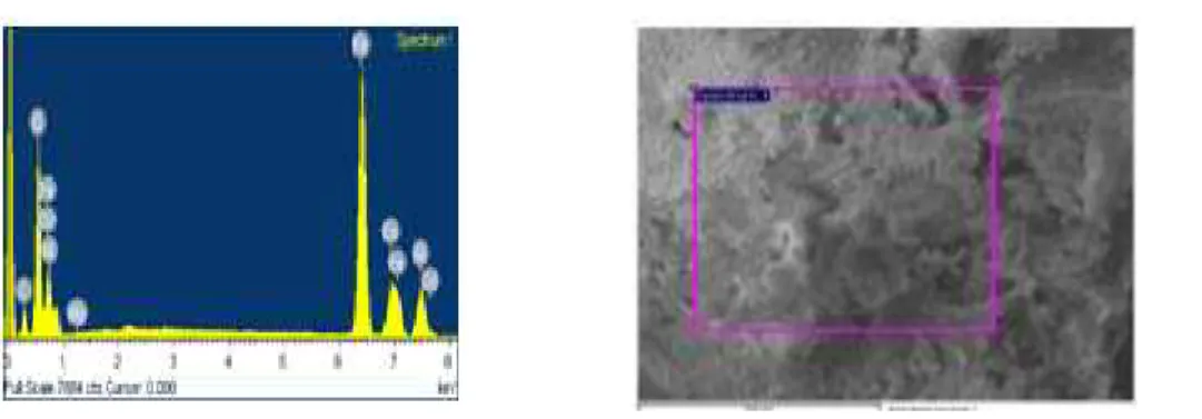 Figure 8  EDS graph ofNi 1-X Co X Fe 2 O 4 Nano ferriteswith composition(X=0.0,0.6,1.0)  IV